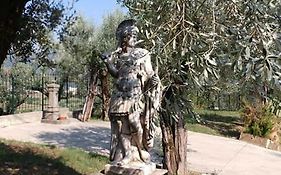 Domus Elisa